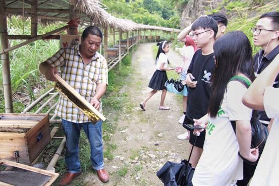 ”善行景宁乡，共圆畲汉梦“ 91沈先生
景宁梦之队-实地调研当地养蜂业